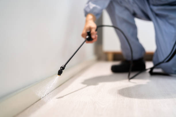 Licensed Termite Control service in Stanly County County, NC - Nex Pest Control