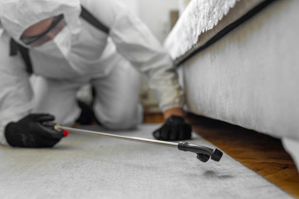 Professional Termite Control technician working in Stanly County County, NC